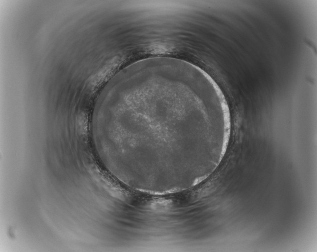 X0000103900257200810171621