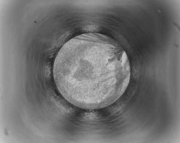 X0000103900259200810171621