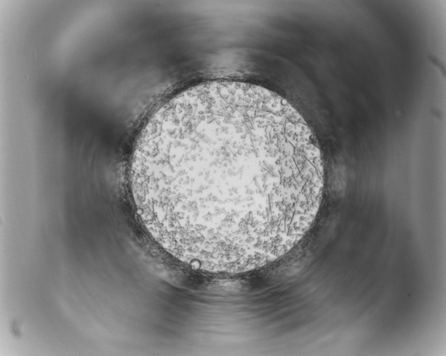 X0000103900260200810171621