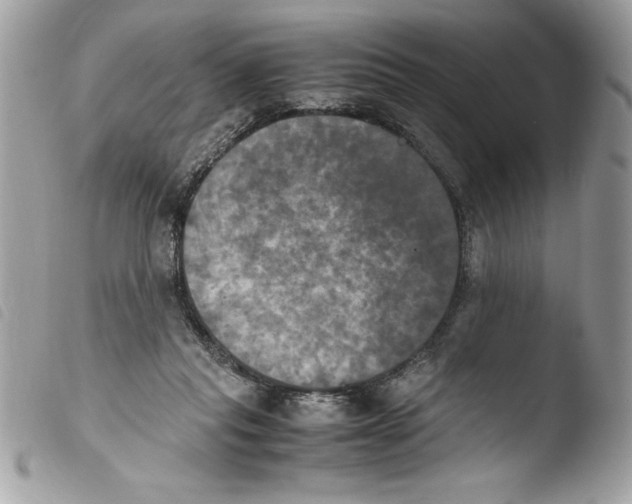 X0000103900261200810171621