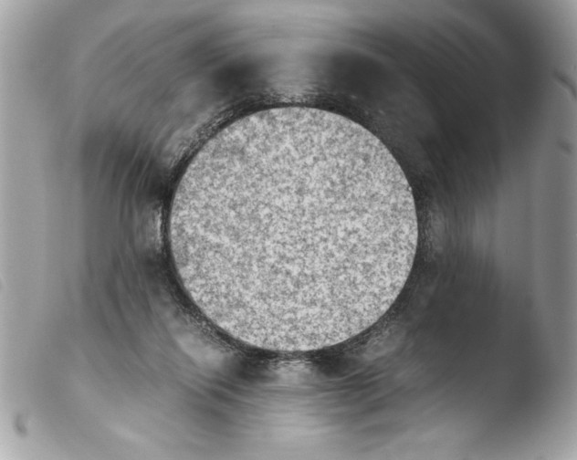 X0000103900262200810171621