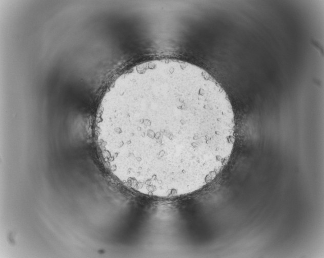 X0000103900264200810171621