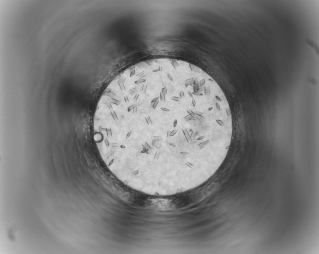 X0000103900265200810171621