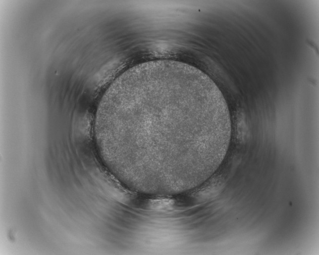 X0000103900266200810171621