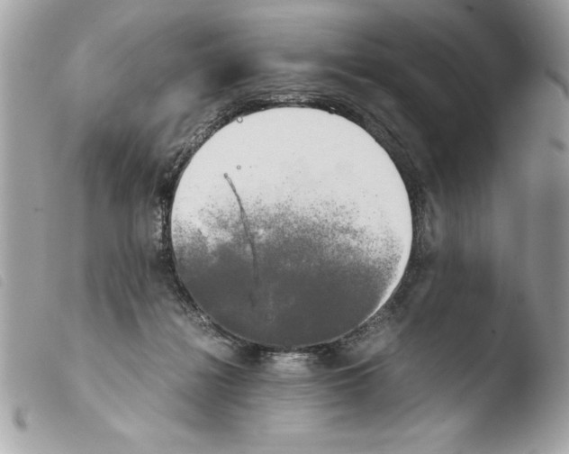 X0000103900268200810171621