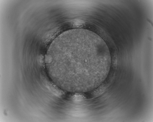 X0000103900270200810171621