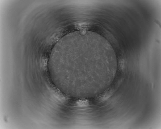 X0000103900271200810171621