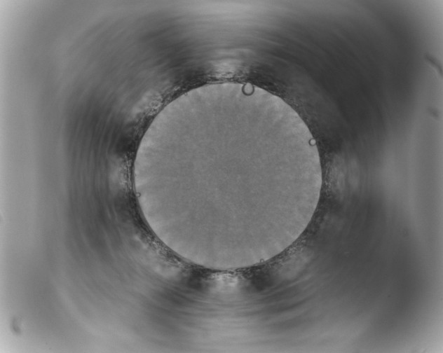 X0000103900272200810171621