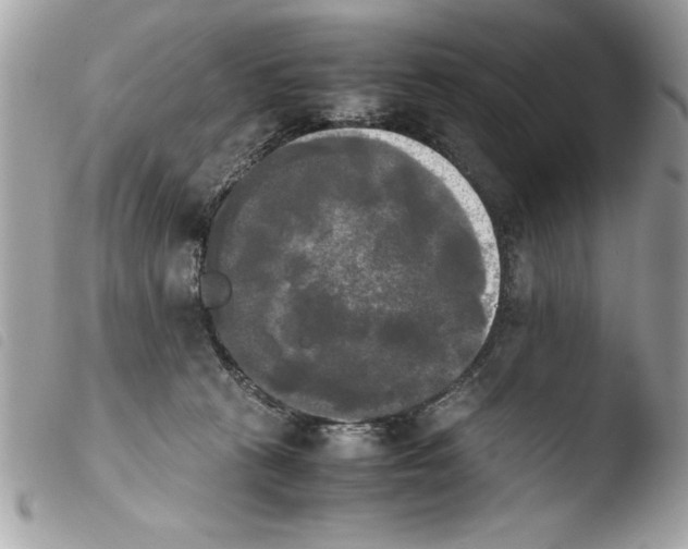 X0000103900273200810171621