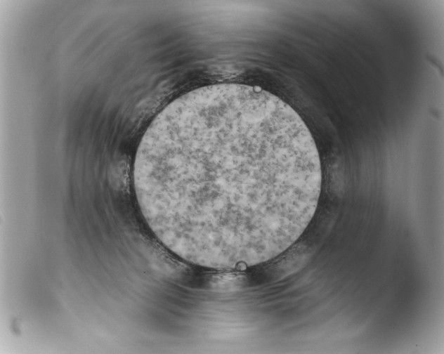 X0000103900274200810171621