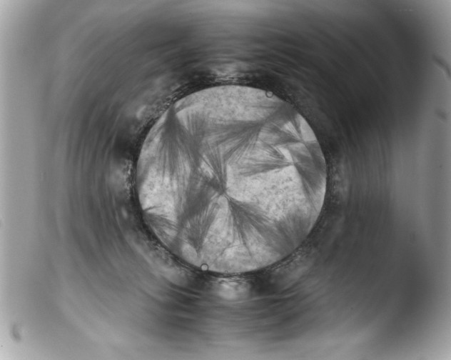 X0000103900275200810171621