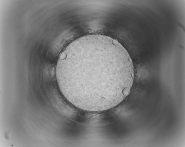 X0000103900276200810171621