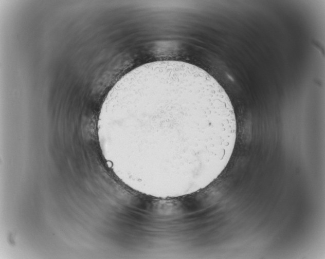 X0000103900277200810171621