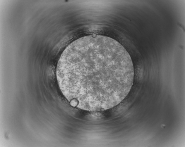 X0000103900278200810171621