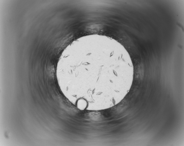 X0000103900279200810171621