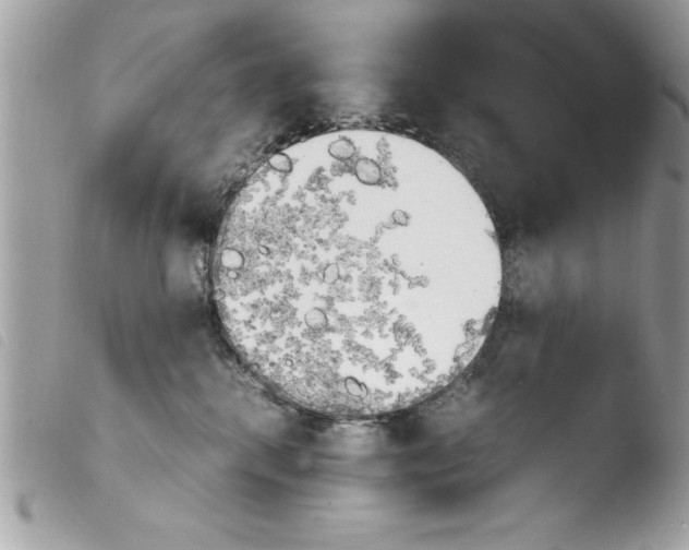 X0000103900280200810171621