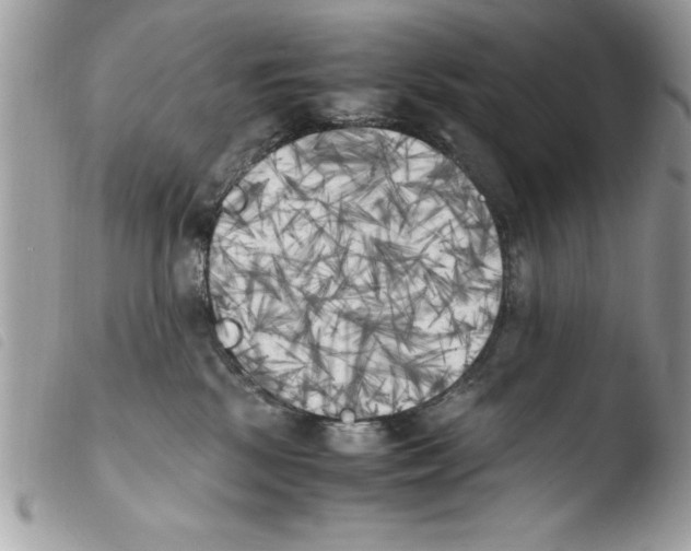 X0000103900281200810171621