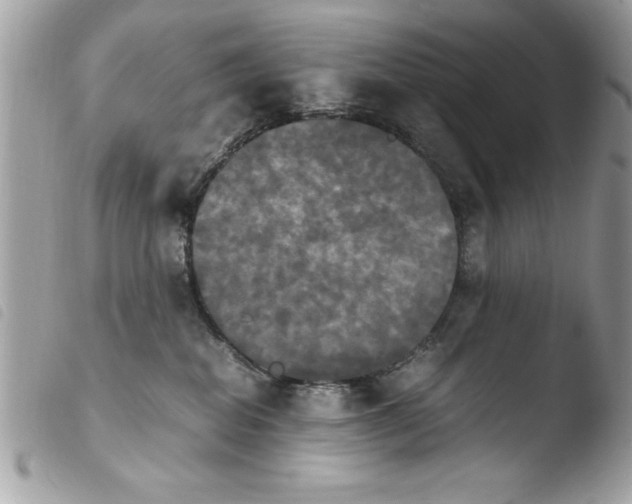 X0000103900282200810171621