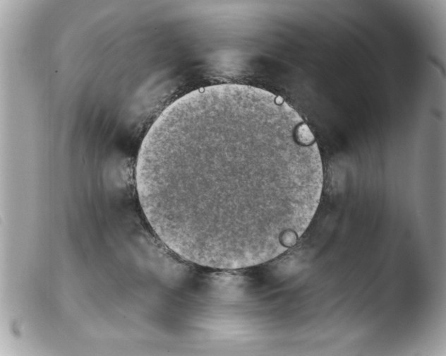 X0000103900284200810171621