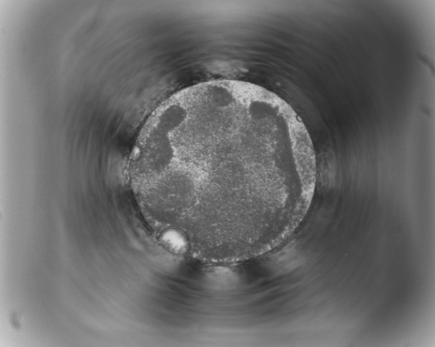 X0000103900285200810171621