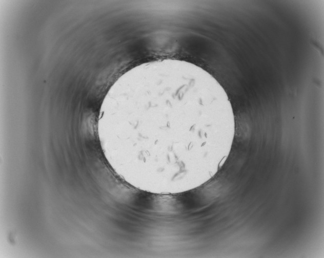 X0000103900287200810171621