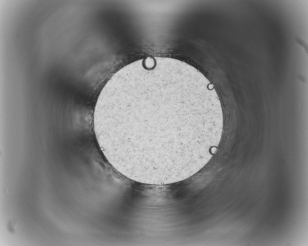 X0000103900288200810171621