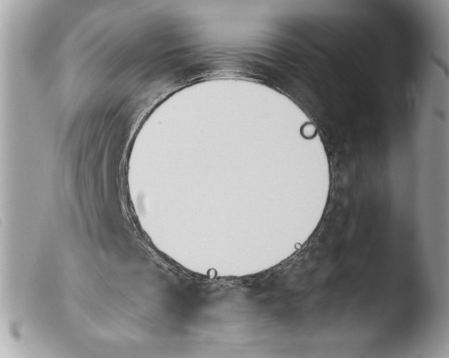 X0000103900289200810171621