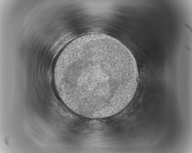 X0000103900290200810171621