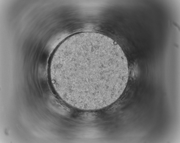 X0000103900292200810171621