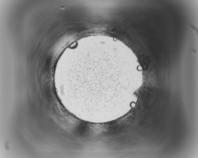 X0000103900293200810171621