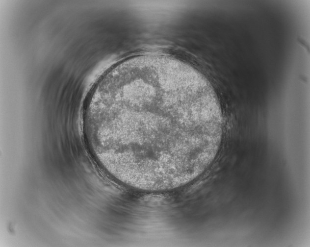 X0000103900294200810171621