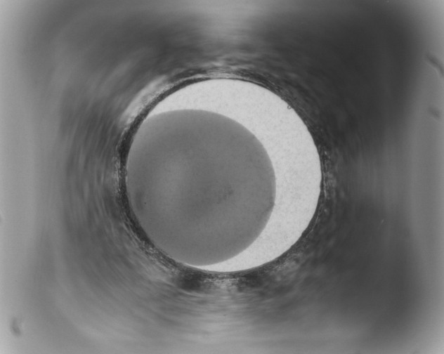 X0000103900295200810171621