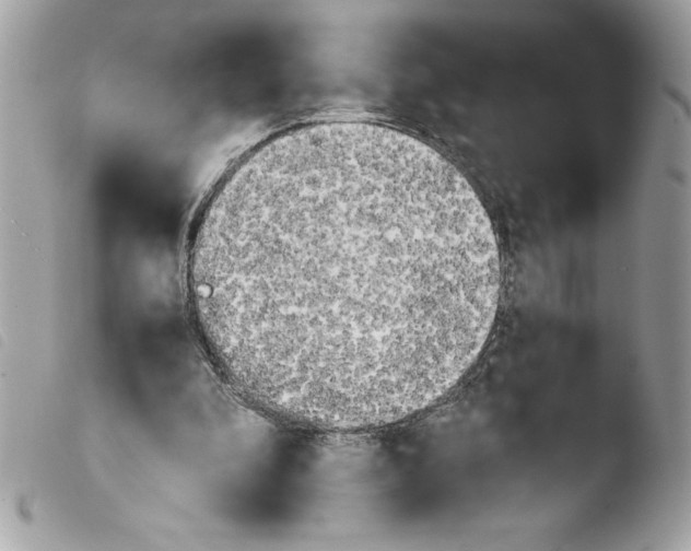 X0000103900296200810171620