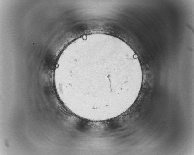 X0000103900297200810171620