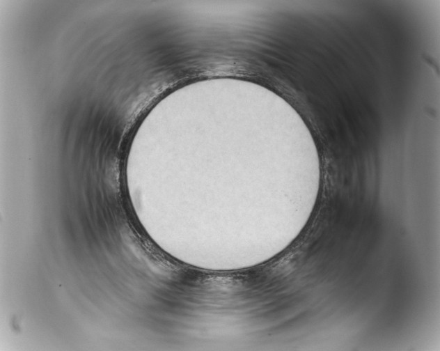 X0000103900298200810171620