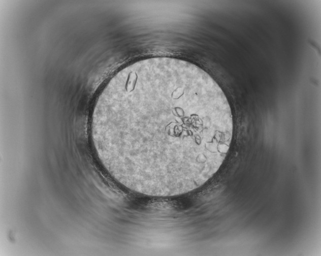 X0000103900299200810171620