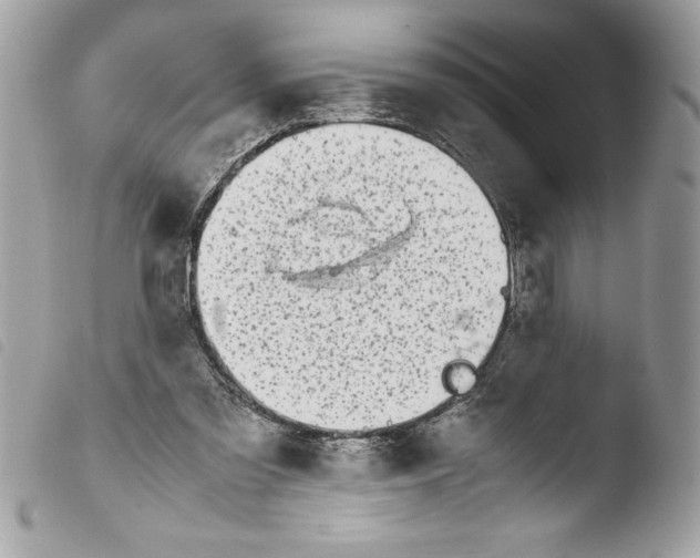 X0000103900301200810171620