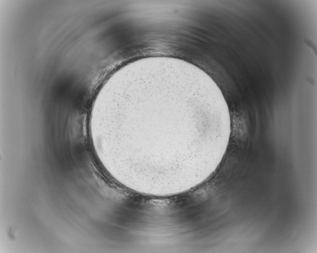 X0000103900302200810171620