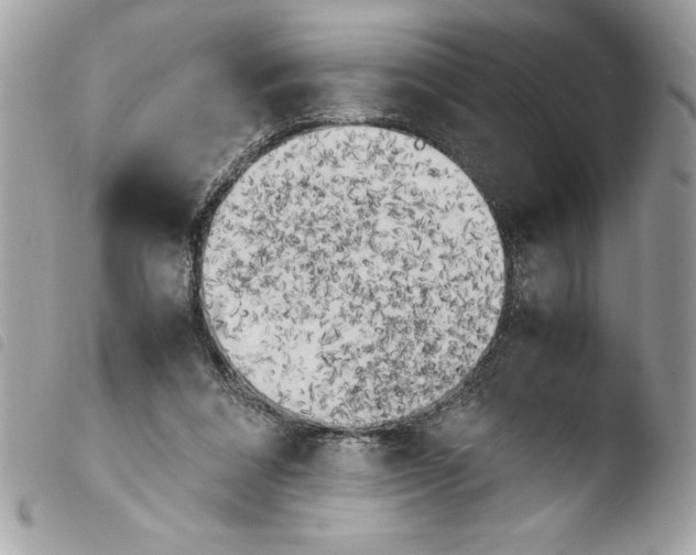 X0000103900304200810171620