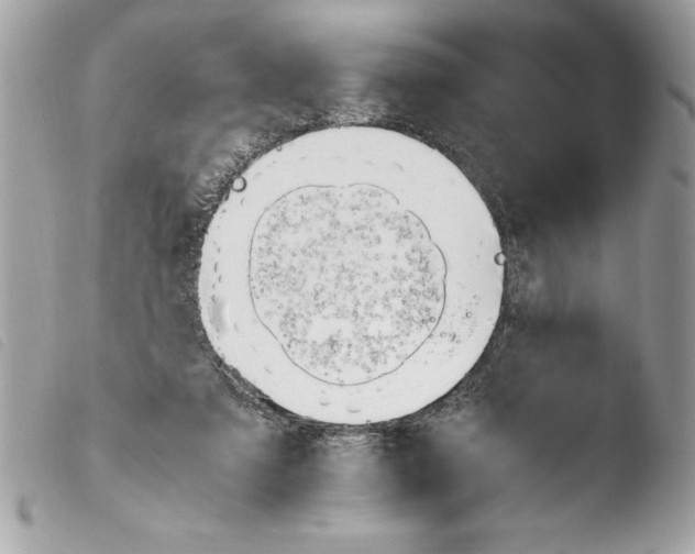 X0000103900307200810171620