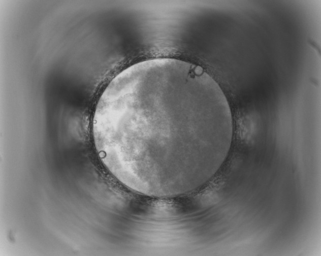 X0000103900308200810171620