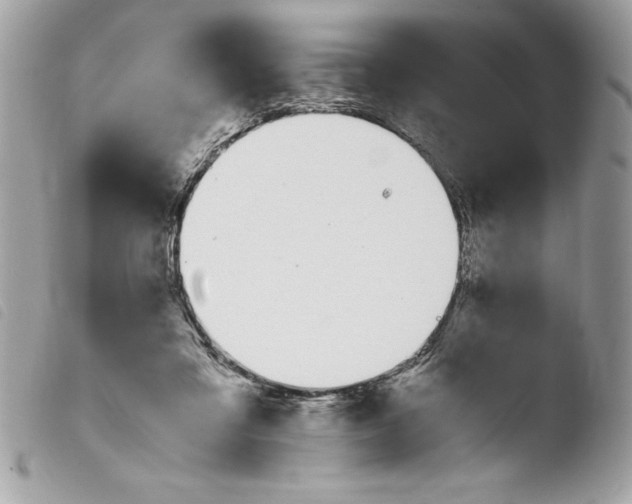 X0000103900309200810171620