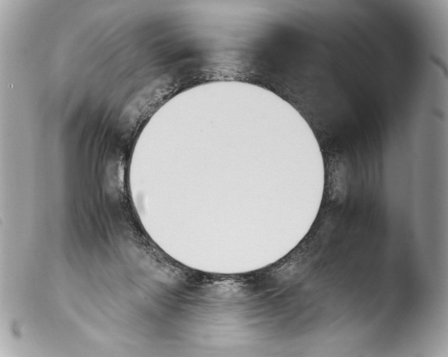 X0000103900310200810171620