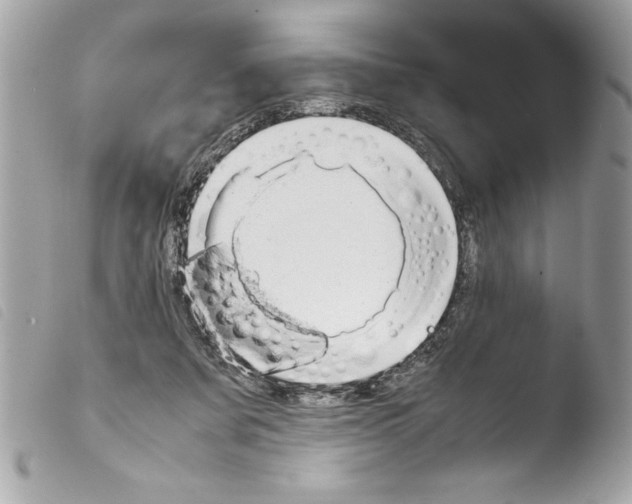 X0000103900311200810171620