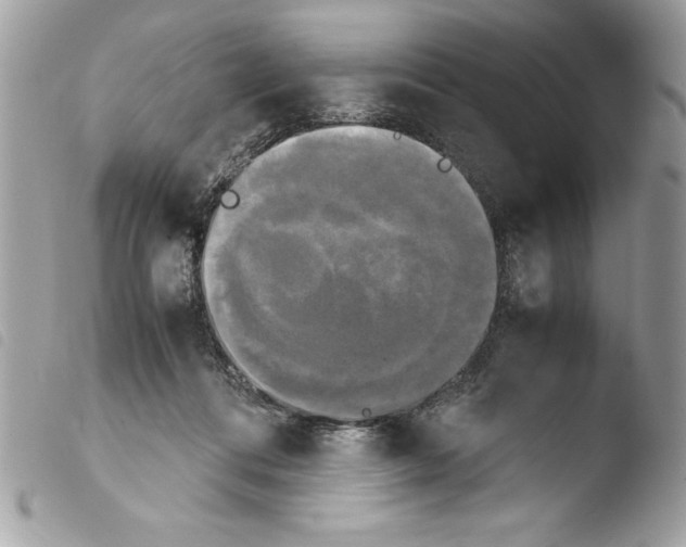 X0000103900312200810171620