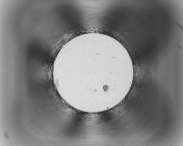 X0000103900313200810171620