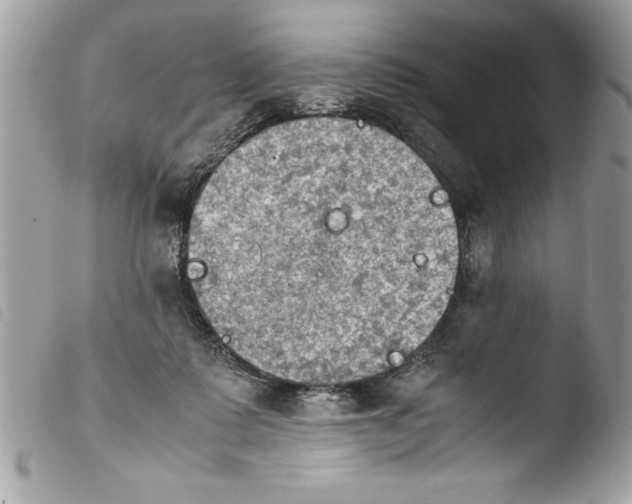 X0000103900315200810171620