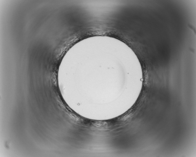 X0000103900317200810171620