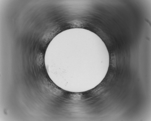 X0000103900318200810171620