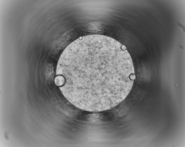 X0000103900320200810171620